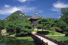 世界拳击退役运动员心理康复成果展示会策划通告，拳击运动员退役伤病