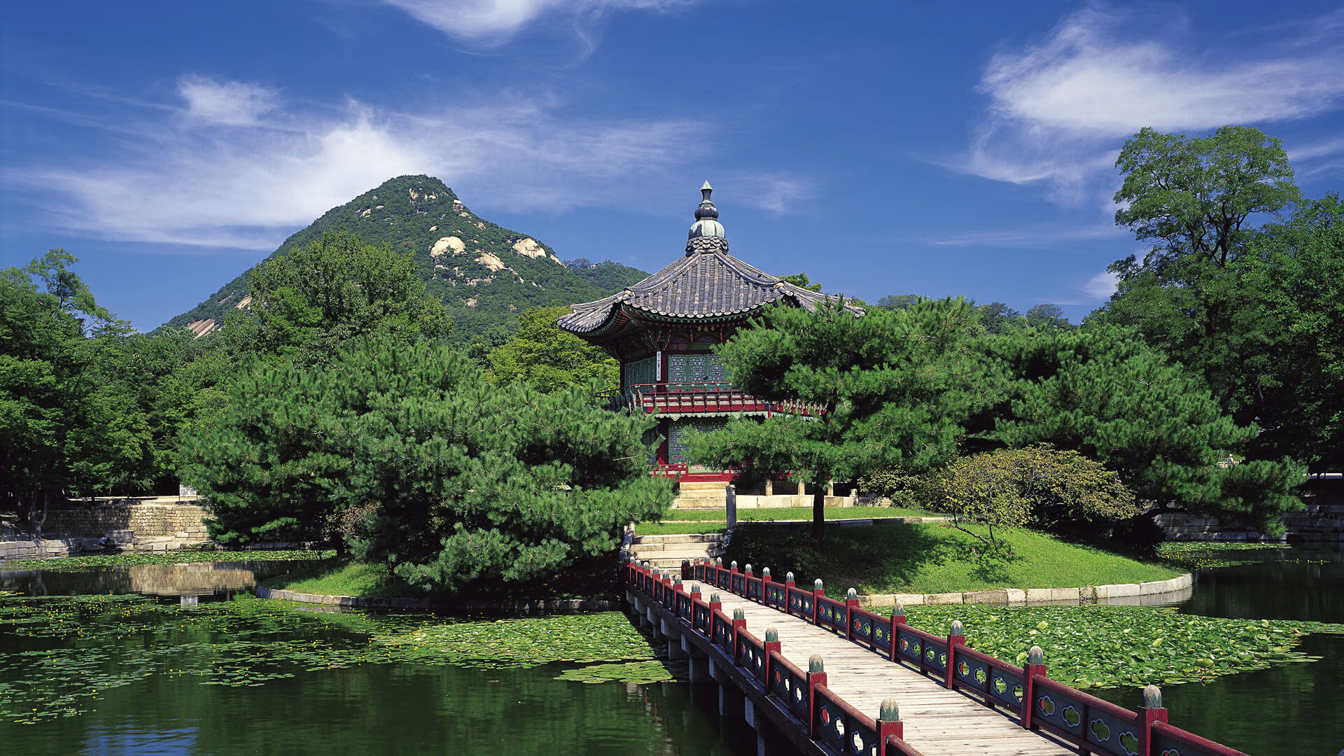世界拳击退役运动员心理康复成果展示会策划通告,拳击运动员退役伤病